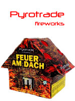 Silvester Feuerwerk Fontäne Feuer am Dach von Pyrotrade