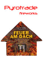 Silvester Feuerwerk Fontäne Feuer am Dach von Pyrotrade