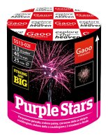 Gaoo Batterie Purple Stars