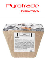 Pyrotrade Feuerwerk Batterie Red Dragon