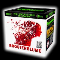 Blackboxx Silvester Feuerwerk Batterie Boosterblume