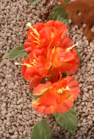 Hawaii Hibiscusblüten Haarspange gelb orange