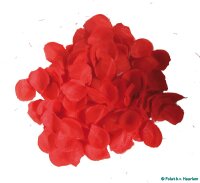100 Rosenblüten rot für die Hochzeit als Deko
